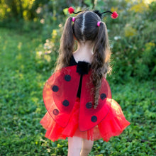 Load image into Gallery viewer, Glitter Ladybug Set