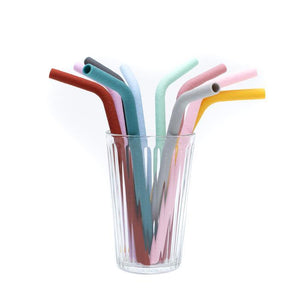 We Might Be Tiny - Bendie Straws (Set of 5 with cleaning brush) - Earth and Blooms