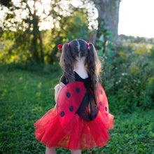 Load image into Gallery viewer, Glitter Ladybug Set