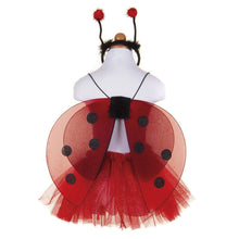 Load image into Gallery viewer, Glitter Ladybug Set